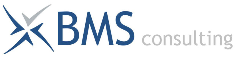 BMS Consulting